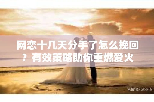 网恋十几天分手了怎么挽回？有效策略助你重燃爱火