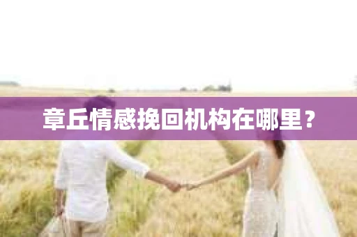 章丘情感挽回机构在哪里？