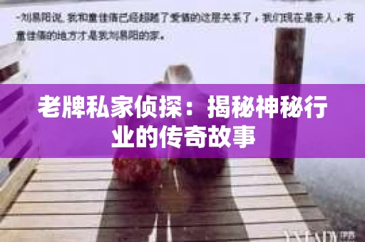 老牌私家侦探：揭秘神秘行业的传奇故事
