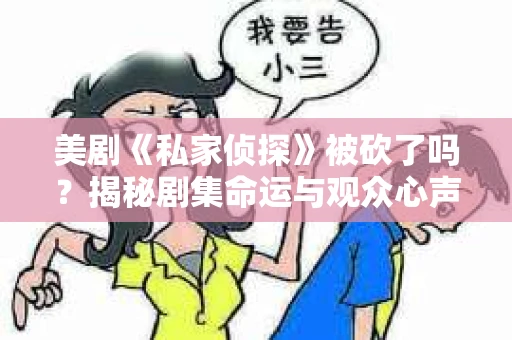 美剧《私家侦探》被砍了吗？揭秘剧集命运与观众心声