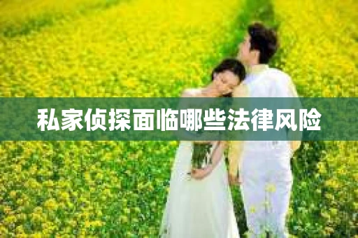 私家侦探面临哪些法律风险