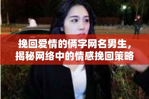 挽回爱情的俩字网名男生，揭秘网络中的情感挽回策略