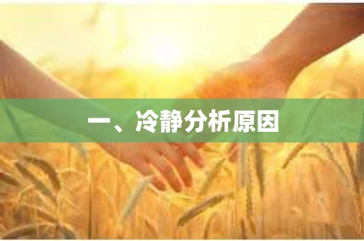 一、冷静分析原因