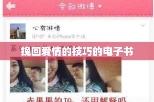 挽回爱情的技巧的电子书