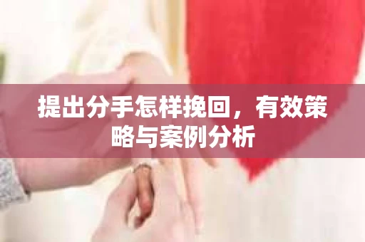提出分手怎样挽回，有效策略与案例分析
