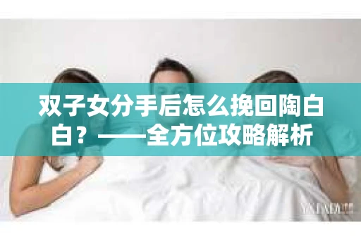 双子女分手后怎么挽回陶白白？——全方位攻略解析