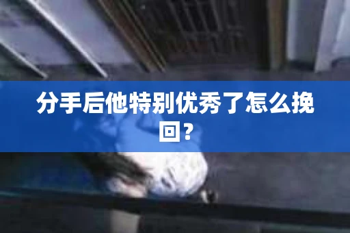 分手后他特别优秀了怎么挽回？