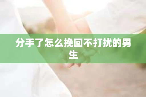 分手了怎么挽回不打扰的男生