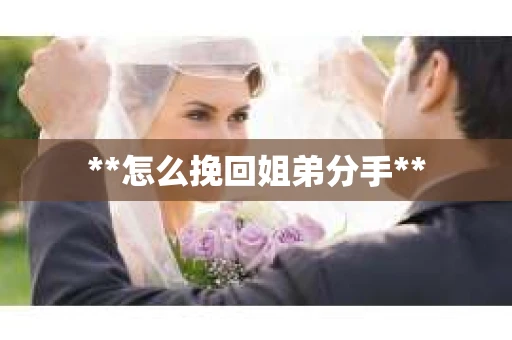 **怎么挽回姐弟分手**