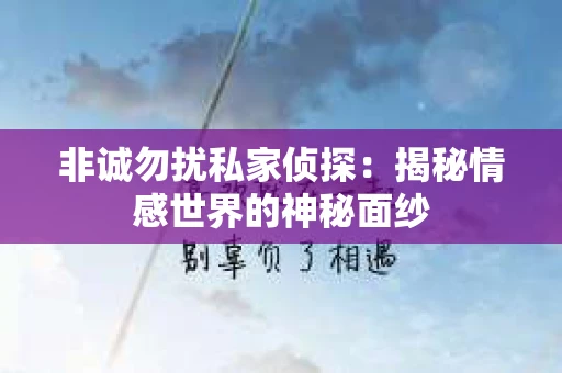 非诚勿扰私家侦探：揭秘情感世界的神秘面纱
