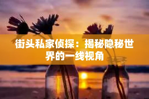 街头私家侦探：揭秘隐秘世界的一线视角