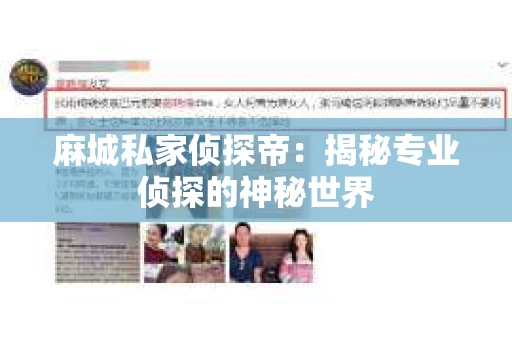 麻城私家侦探帝：揭秘专业侦探的神秘世界