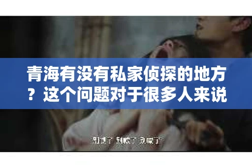 青海有没有私家侦探的地方？这个问题对于很多人来说可能有些敏感，但作为一位在法律界摸爬滚打多年的律师，我觉得有必要给大家揭开这个谜团。今天，我就来和大家聊聊青海的私家侦探行业，看看这里有没有合法的私家侦探服务。