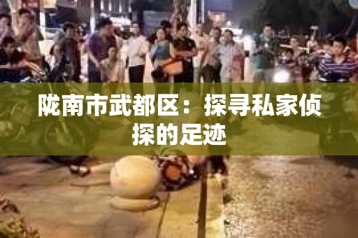陇南市武都区：探寻私家侦探的足迹