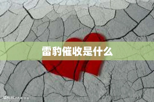 雷豹催收是什么