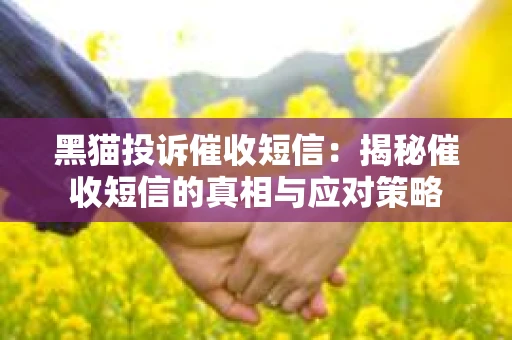黑猫投诉催收短信：揭秘催收短信的真相与应对策略