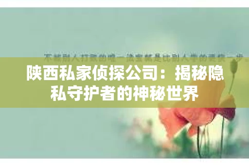 陕西私家侦探公司：揭秘隐私守护者的神秘世界