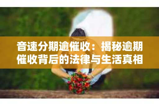 音速分期逾催收：揭秘逾期催收背后的法律与生活真相