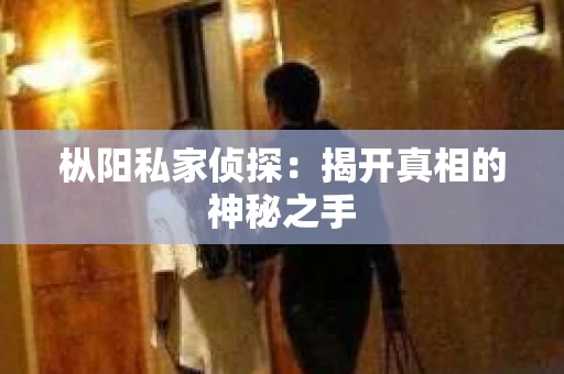 枞阳私家侦探：揭开真相的神秘之手