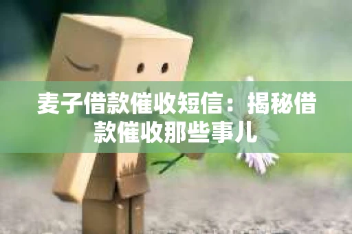 麦子借款催收短信：揭秘借款催收那些事儿
