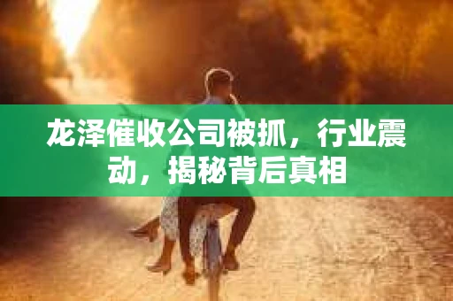 龙泽催收公司被抓，行业震动，揭秘背后真相