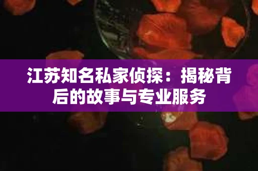 江苏知名私家侦探：揭秘背后的故事与专业服务