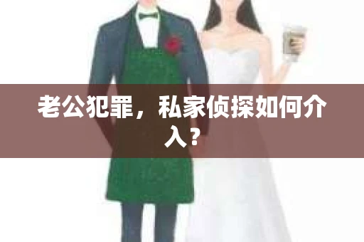 老公犯罪，私家侦探如何介入？