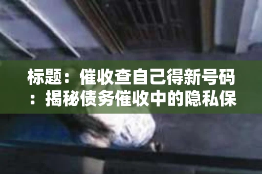 标题：催收查自己得新号码：揭秘债务催收中的隐私保护难题