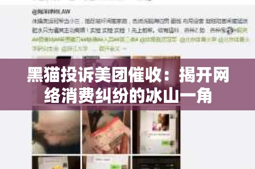 黑猫投诉美团催收：揭开网络消费纠纷的冰山一角