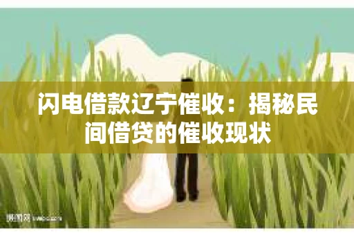 闪电借款辽宁催收：揭秘民间借贷的催收现状
