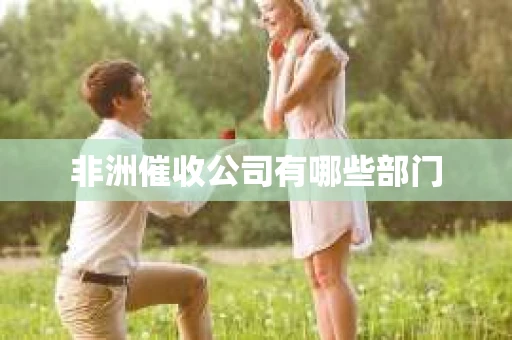 非洲催收公司有哪些部门
