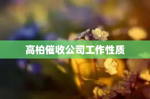 高柏催收公司工作性质