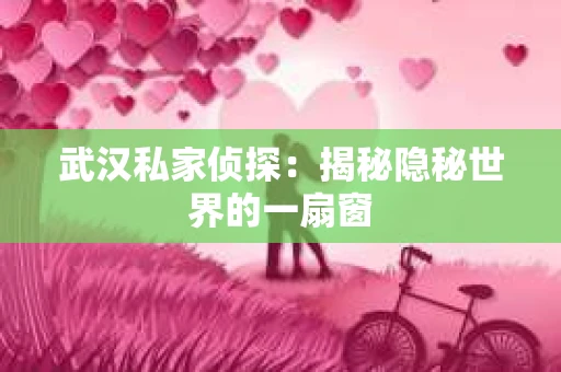 武汉私家侦探：揭秘隐秘世界的一扇窗