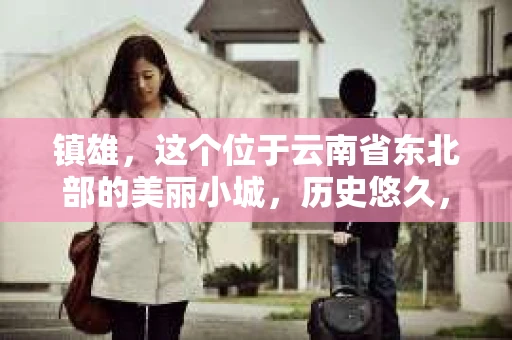 镇雄，这个位于云南省东北部的美丽小城，历史悠久，风景秀丽。然而，随着社会的发展，人们的生活节奏加快，一些问题也随之而来。比如，有些人可能会遇到婚姻纠纷、财产纠纷等问题，这时候，私家侦探可能就能派上用场了。那么，镇雄有私家侦探公司吗？今天，我们就来聊聊这个话题。