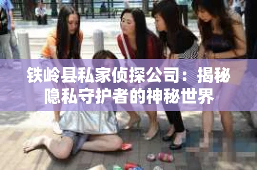 铁岭县私家侦探公司：揭秘隐私守护者的神秘世界