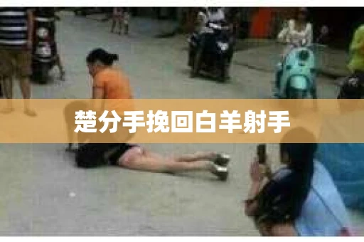 楚分手挽回白羊射手