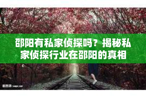 邵阳有私家侦探吗？揭秘私家侦探行业在邵阳的真相