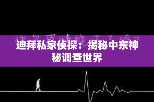 迪拜私家侦探：揭秘中东神秘调查世界