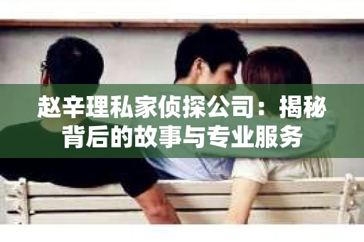 赵辛理私家侦探公司：揭秘背后的故事与专业服务