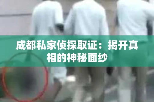成都私家侦探取证：揭开真相的神秘面纱