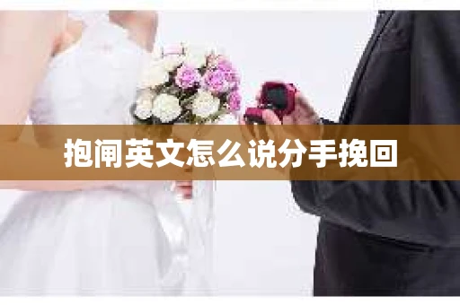 抱闸英文怎么说分手挽回