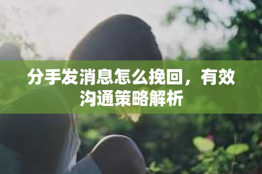 分手发消息怎么挽回，有效沟通策略解析