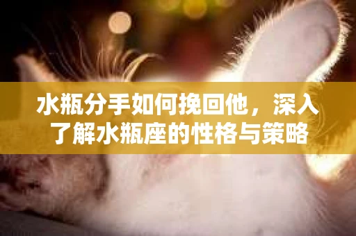 水瓶分手如何挽回他，深入了解水瓶座的性格与策略
