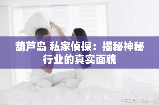 葫芦岛 私家侦探：揭秘神秘行业的真实面貌
