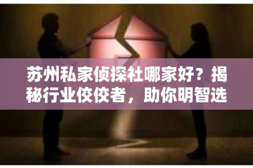 苏州私家侦探社哪家好？揭秘行业佼佼者，助你明智选择