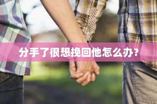 分手了很想挽回他怎么办？