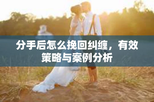 分手后怎么挽回纠缠，有效策略与案例分析